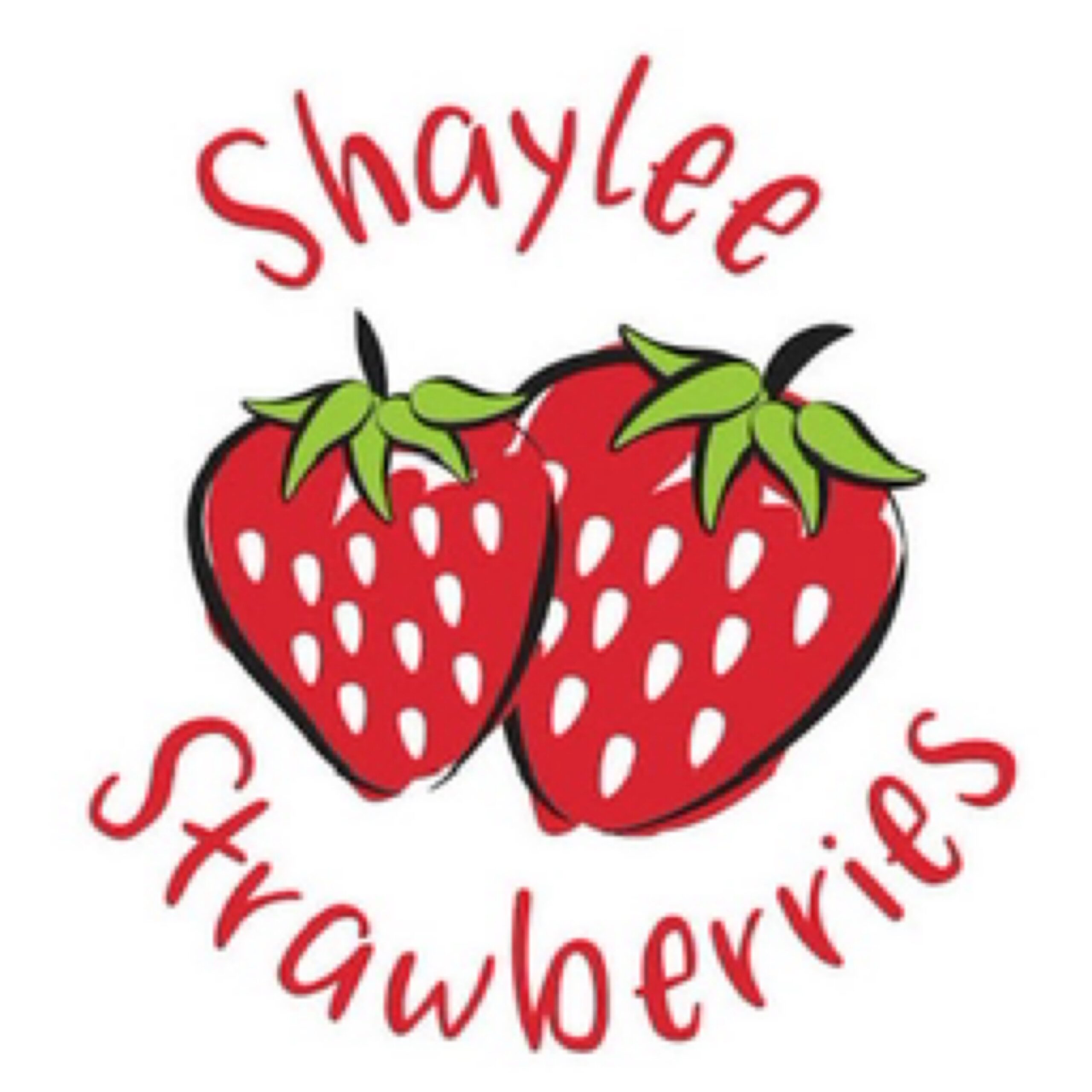 Shaylee Strawberry Jam 600g handmade and grown In Yungaburra FNQ