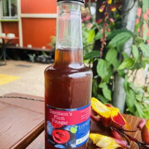 Rainforest Heart - Davidson Plum Vinegar 375ml