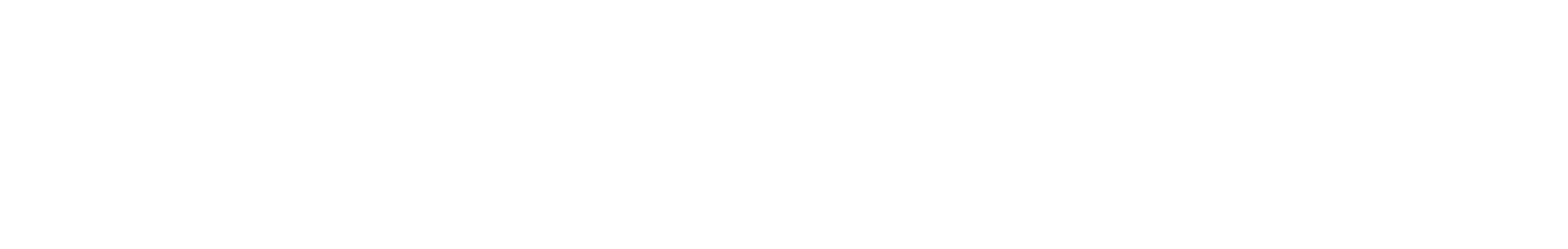 fruitessence-logo