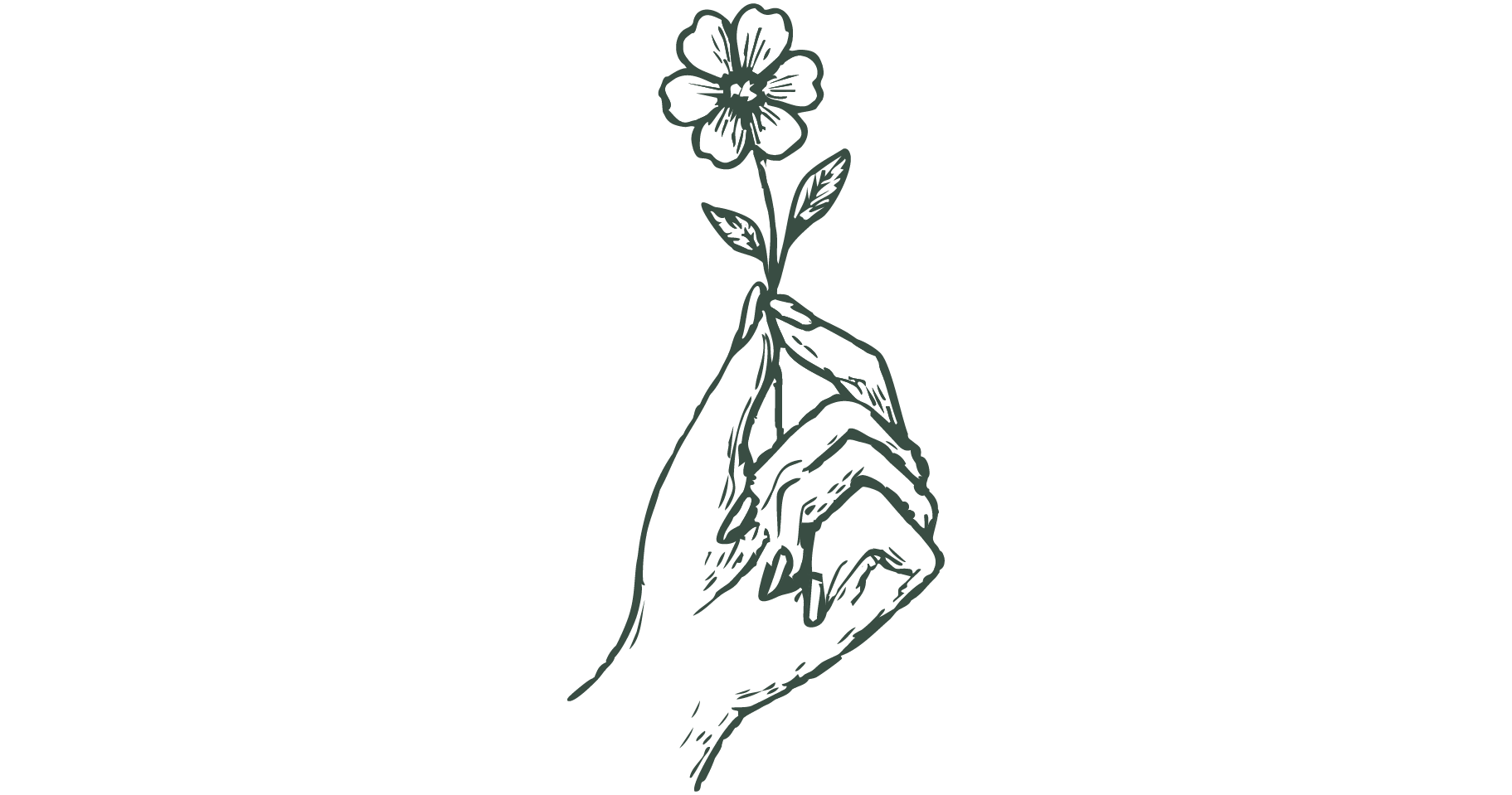 hand-holding-flower-illustration