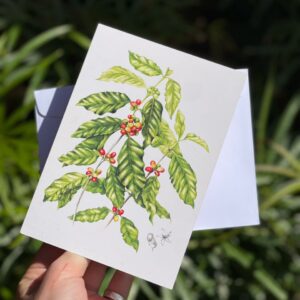 Julie McEnerny - Giftcards