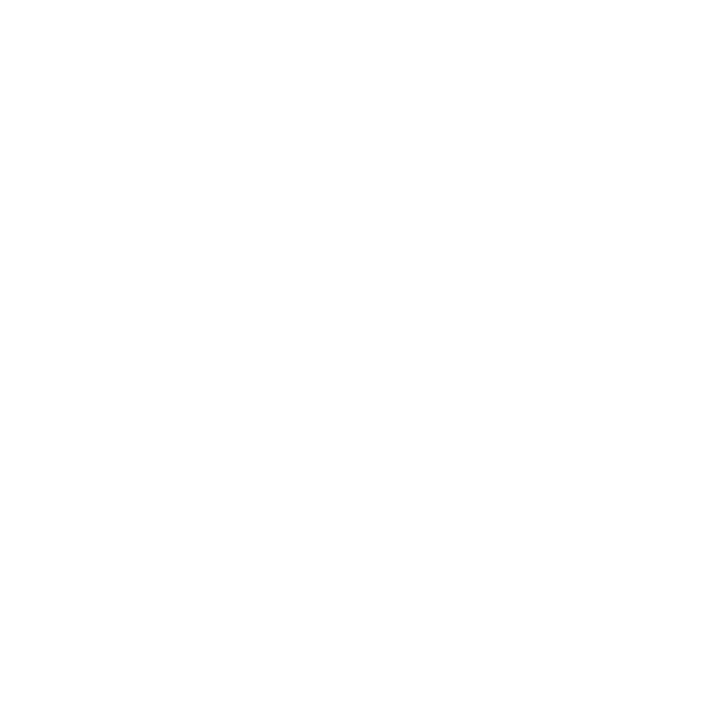 wild-vanilla-logo