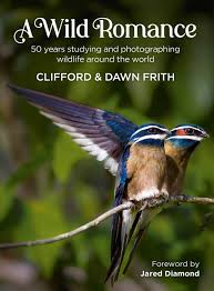 A Wild Romance - By Clifford And Dawn Frith