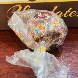Gallo Dairyland - Spinkle Chocolate Marshmallow Pop
