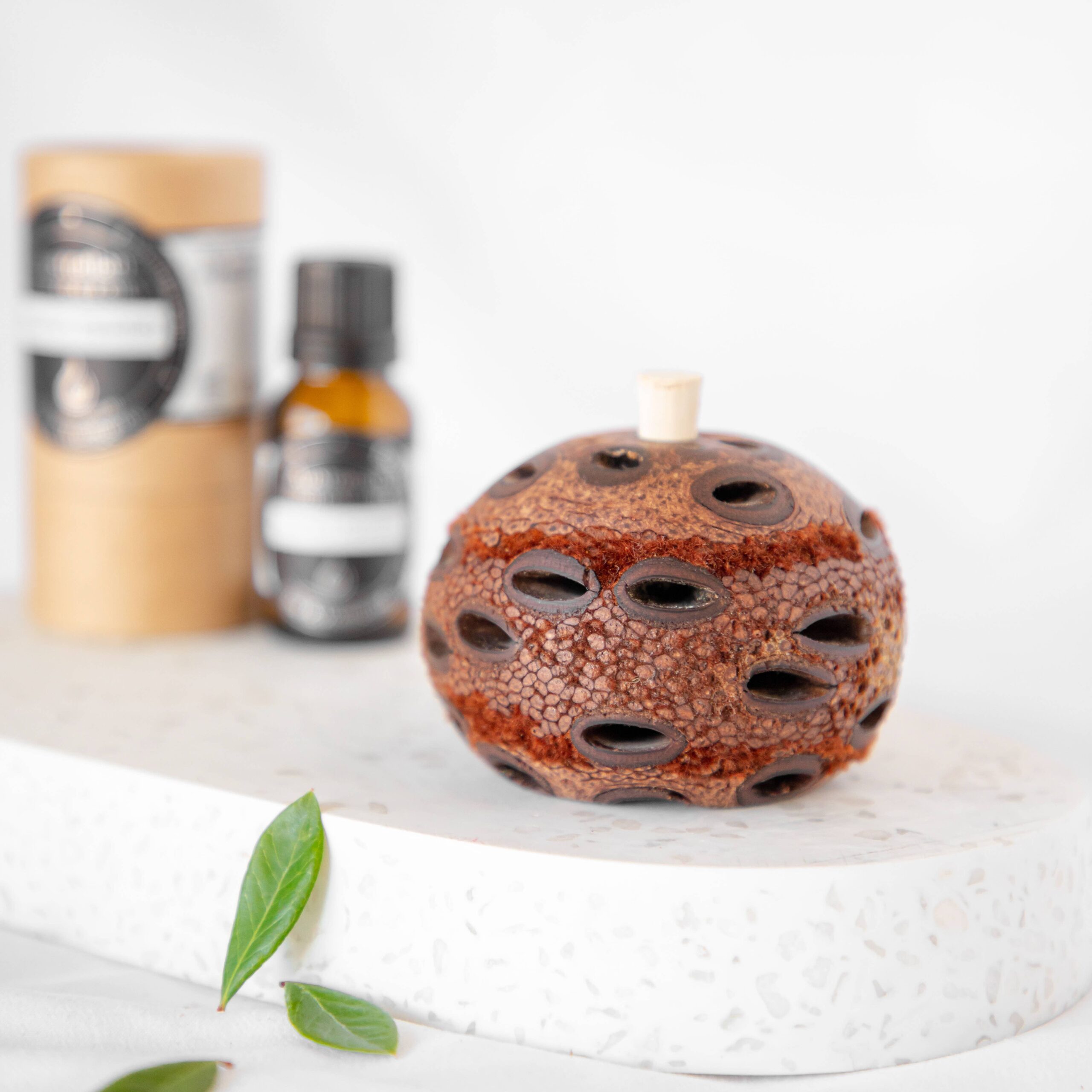 Australian Wholesale Oils - Mini Banksia Pod Diffuser