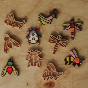 Insect Cutter Set - Eco Playdough Tool