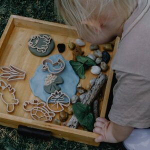 Pond life Cutter Set - Eco Playdough Tool